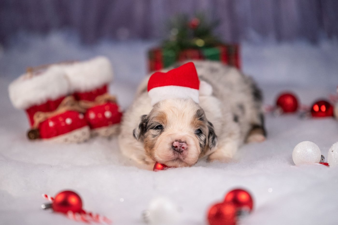 Ancient Egypt Nefertiti