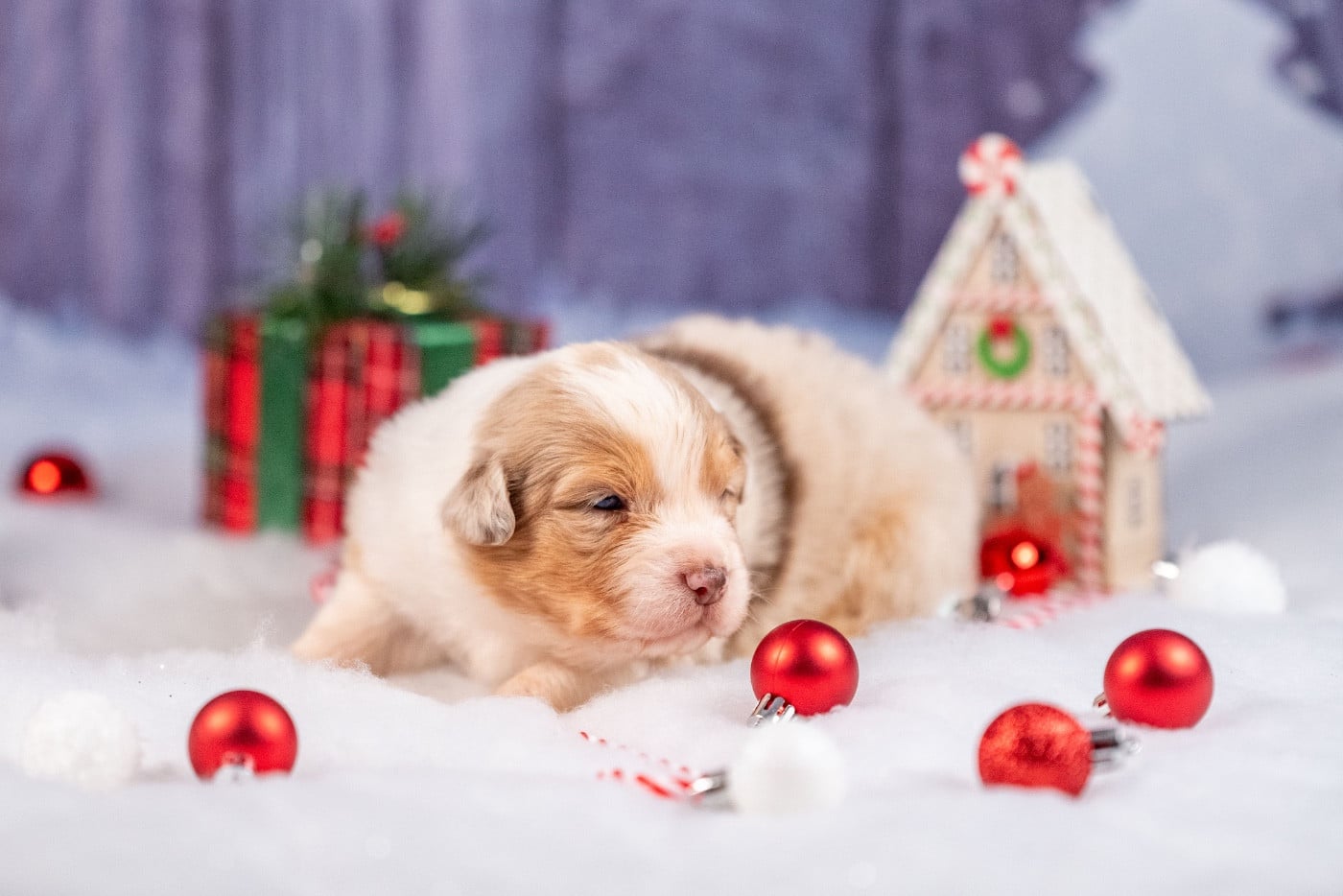 Ancient Egypt Hatchepsout