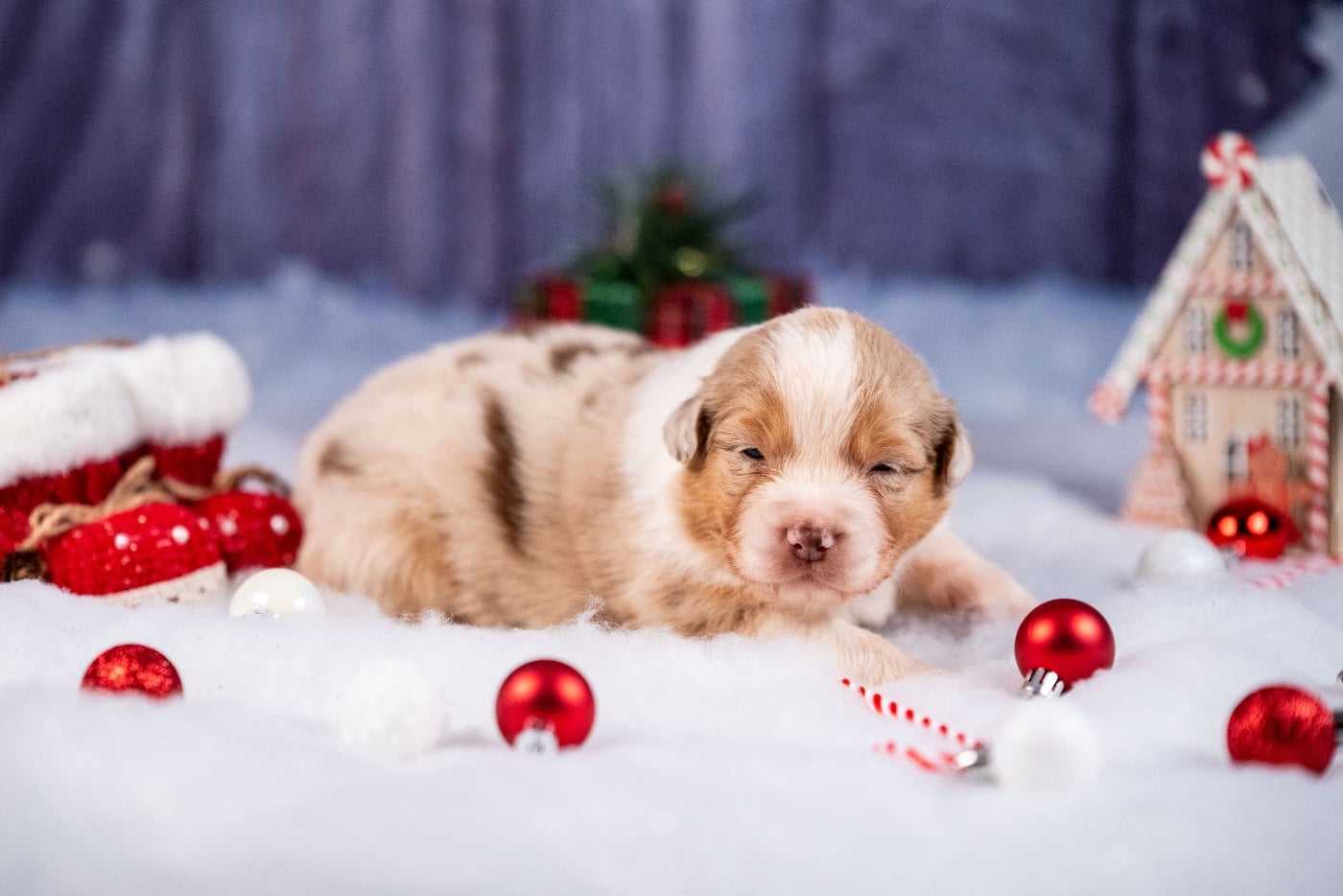 Ancient Egypt Hatchepsout