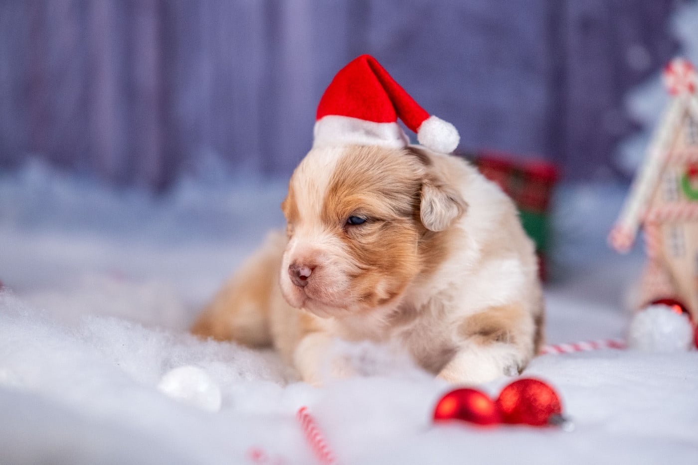 Ancient Egypt Hatchepsout