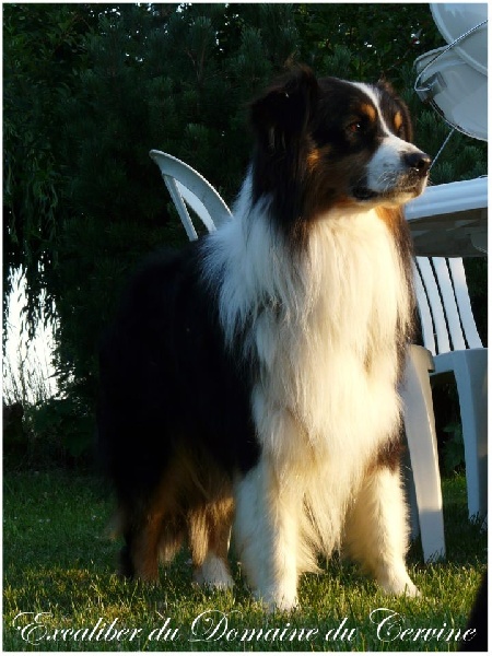 Publication : De La Montagne Etoilée Auteur : Cindy Plé