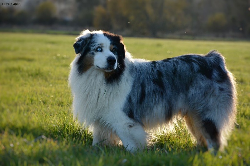 Fifty fifty (Sans Affixe) - 3ème Excellent