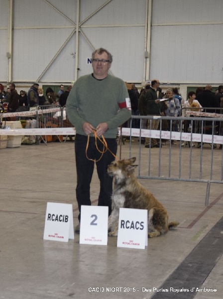 Isaline Des Portes Royales D'amboise - RCACS - RCACIB