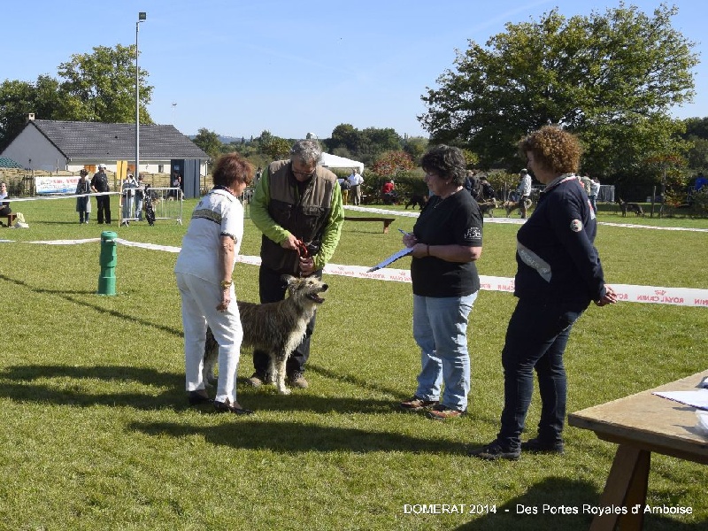 Isaline Des Portes Royales D'amboise - Très Bon