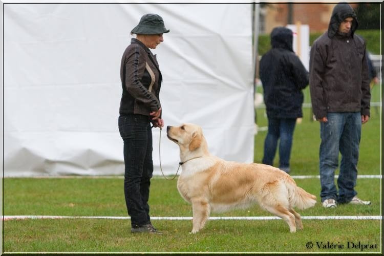 Browndust Honeymoon's dream in june - 4ème Exc