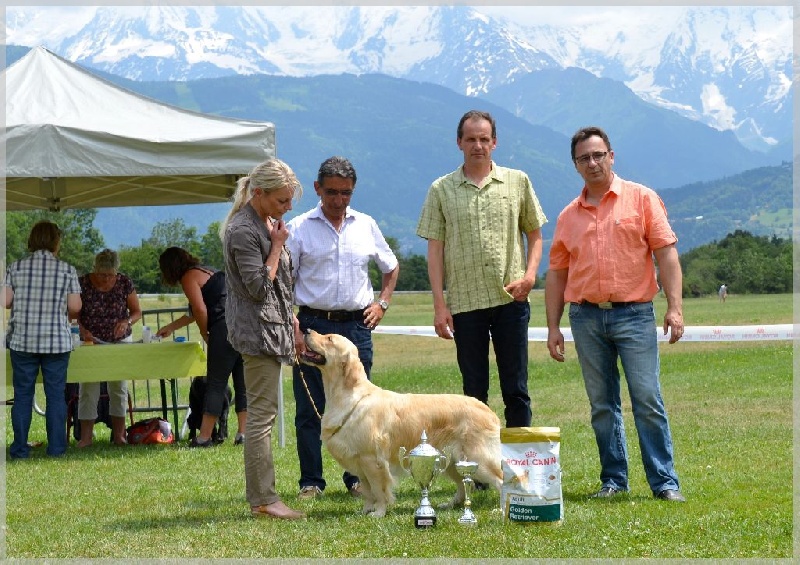 Browndust Honeymoon's dream in june - 1ère Exc + BOB + Best in Show