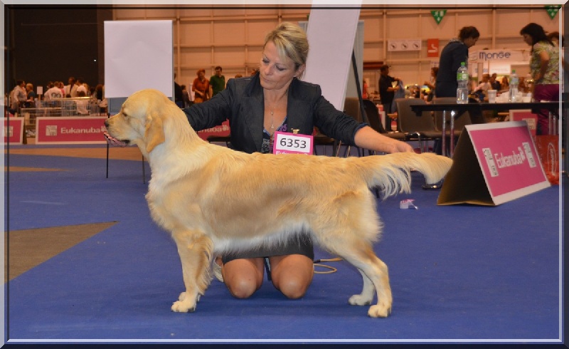 Browndust Honeymoon's dream in june - Exc