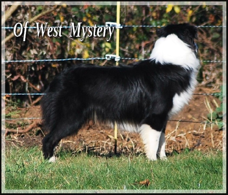 Lower egypt wadjet uraeus Du Temple D'hatchepsout