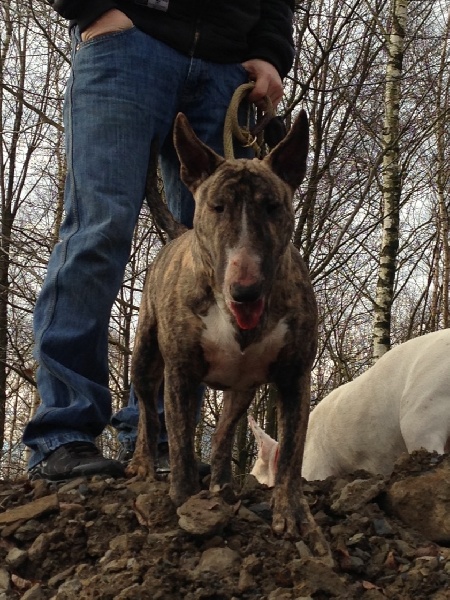 Publication : Dream Team Bulls