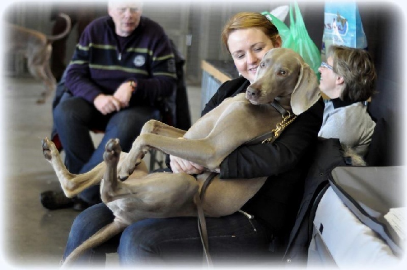 Publication : Legend's Safir Auteur : Nathalie Van Gastel