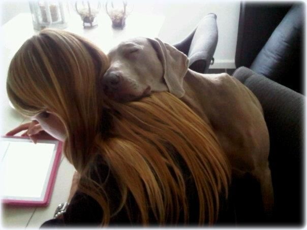 Publication : Legend's Safir Auteur : Nathalie Van Gastel