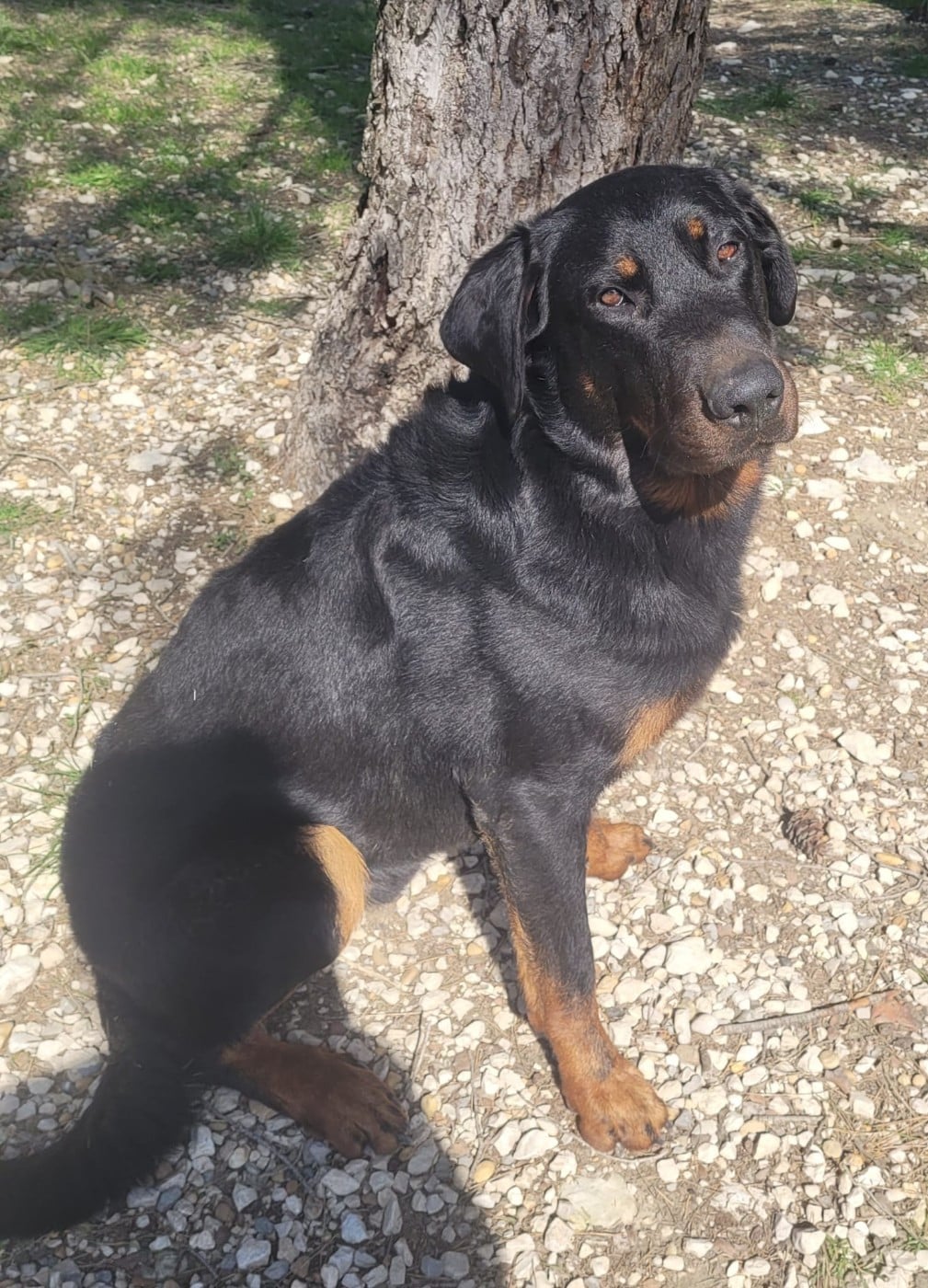 Publication : Des Gardiens D'anaflore