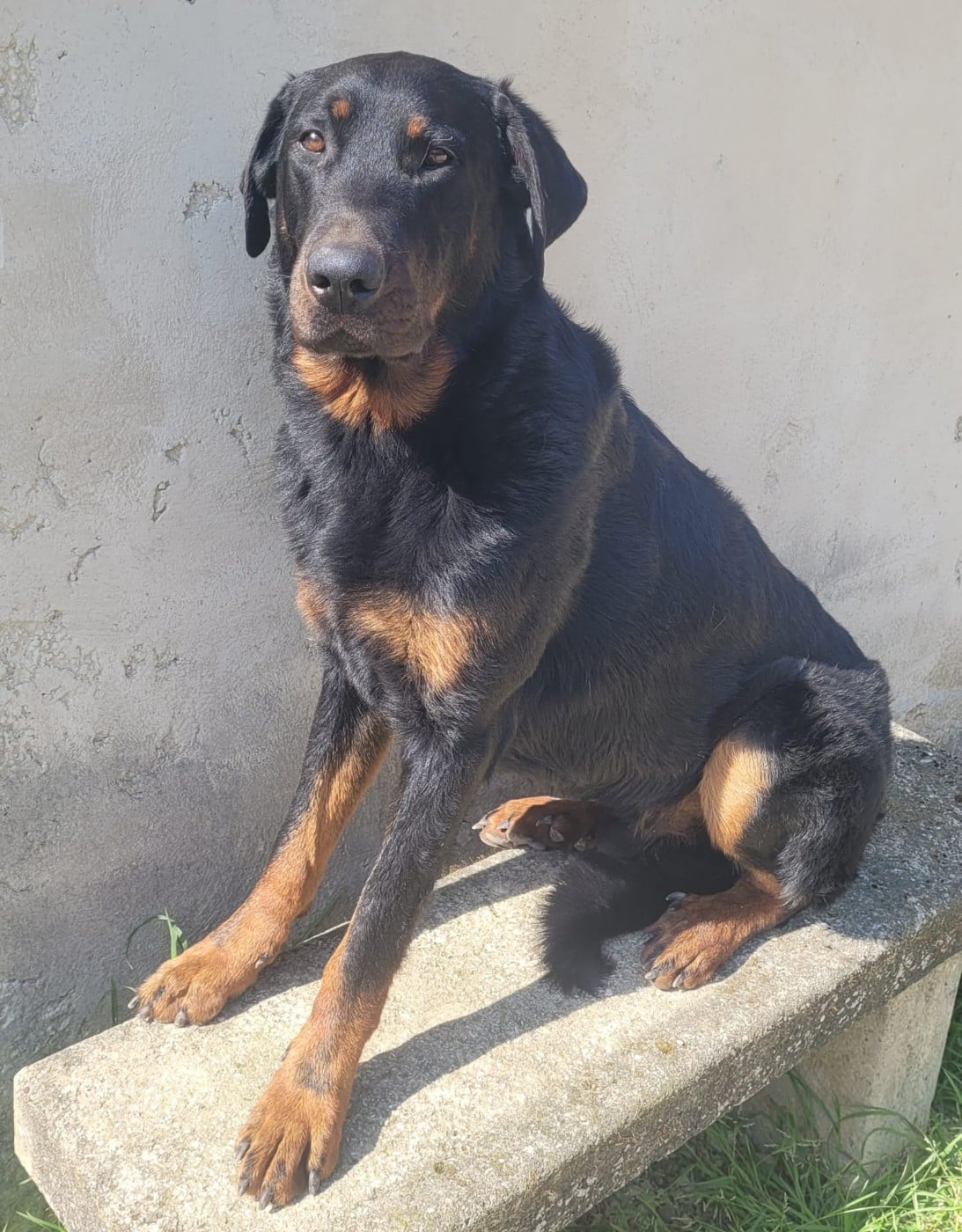 Publication : Des Gardiens D'anaflore