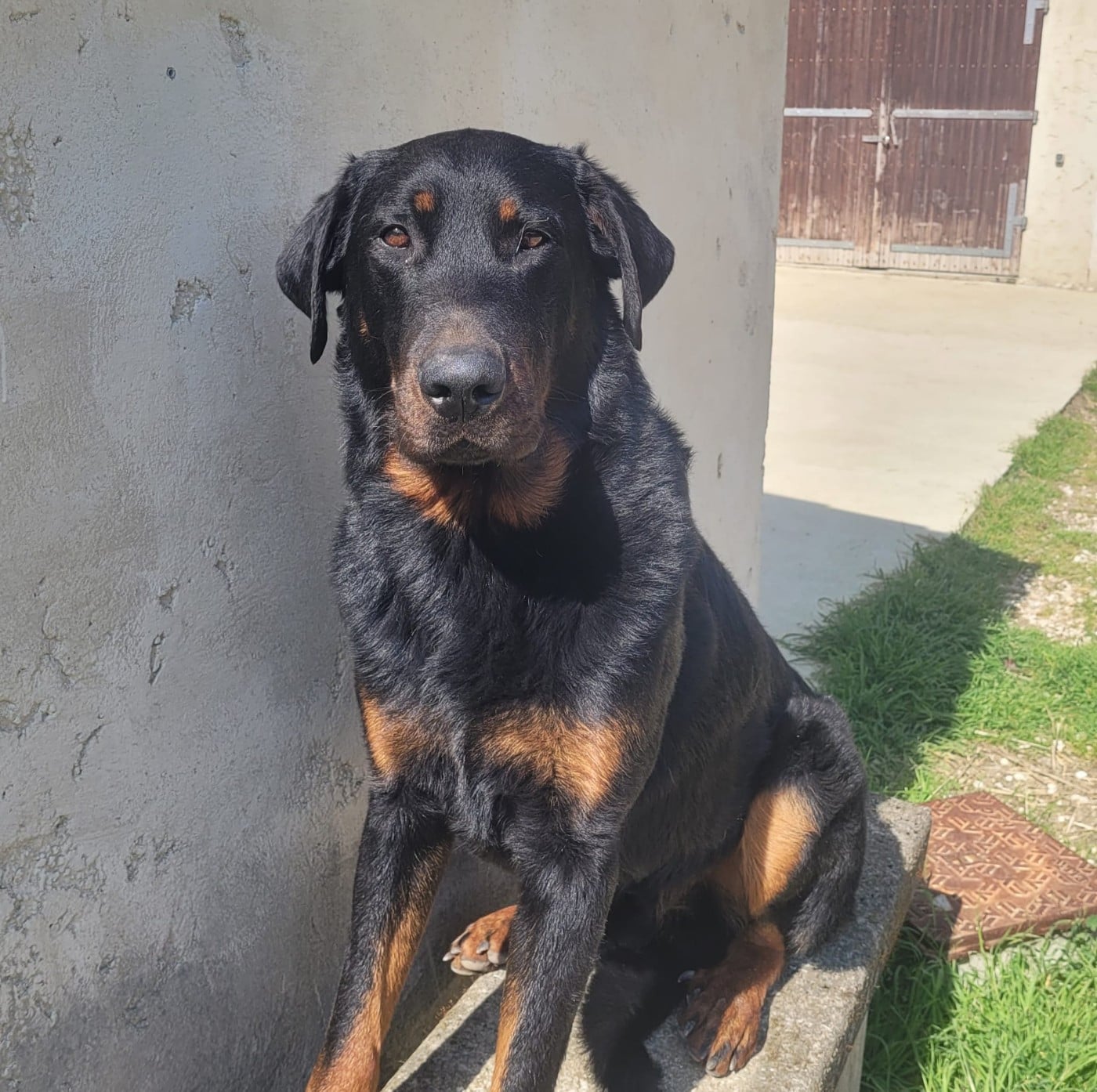 Publication : Des Gardiens D'anaflore