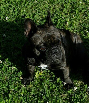 Publication : For Jade Eternallove For Stars