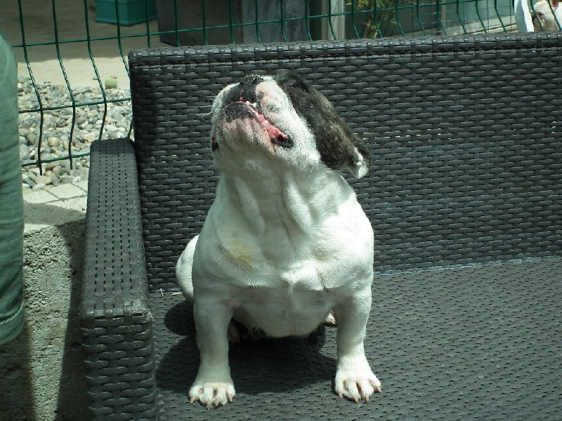 Publication : De lovely glasgow Auteur : valentine banel