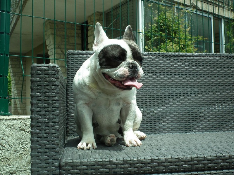 Publication : De lovely glasgow Auteur : valentine banel