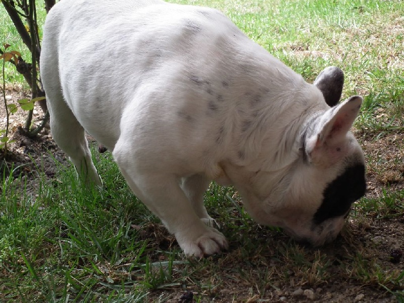 Publication : De lovely glasgow Auteur : valentine banel