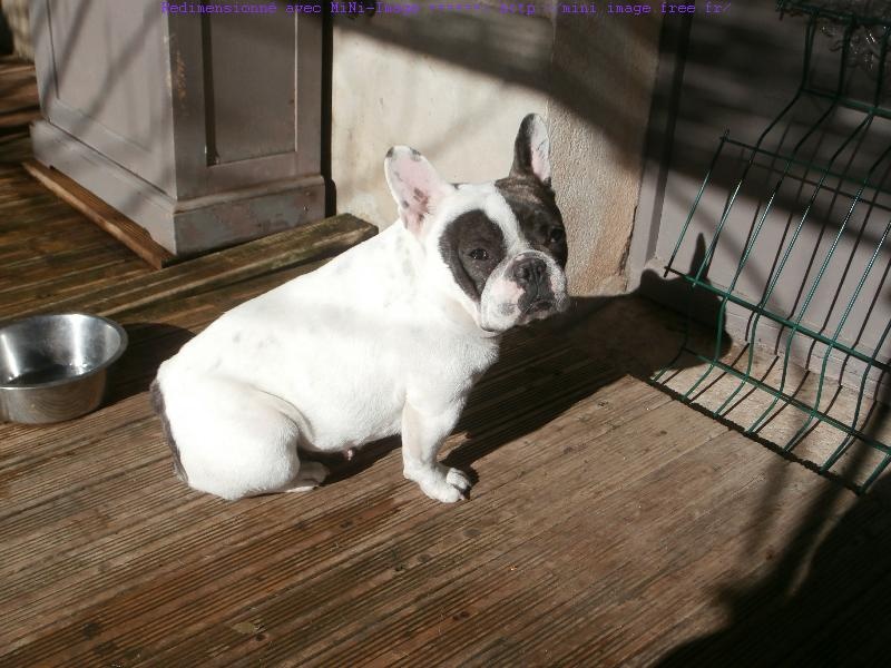 Publication : De lovely glasgow Auteur : valentine banel