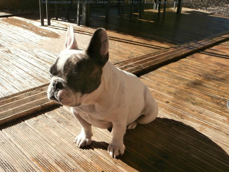 Publication : De lovely glasgow Auteur : valentine banel