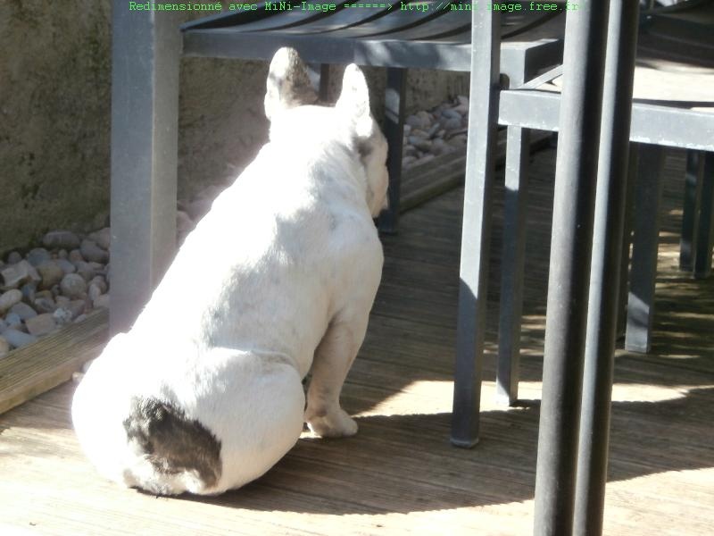 Publication : De lovely glasgow Auteur : valentine banel