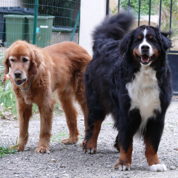 Publication : Des Terres Sacrées D'aurus Auteur : 8 ans et demi