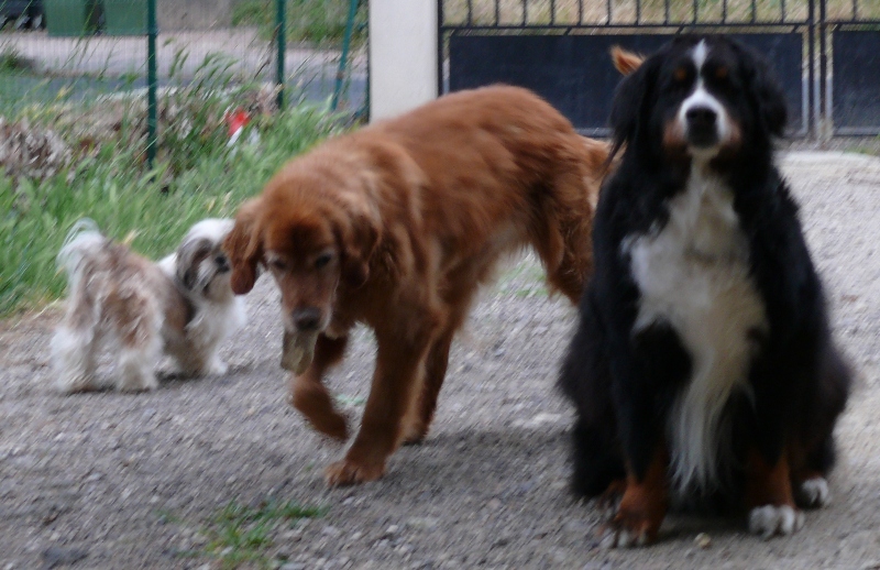 Publication : Des Terres Sacrées D'aurus Auteur : 8 ans et demi