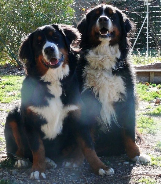 Publication : Des Terres Sacrées D'aurus Auteur : 8 ans et demi