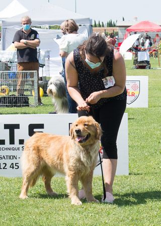Roukynn Des Terres Sacrées D'aurus - 1ere TRES BON