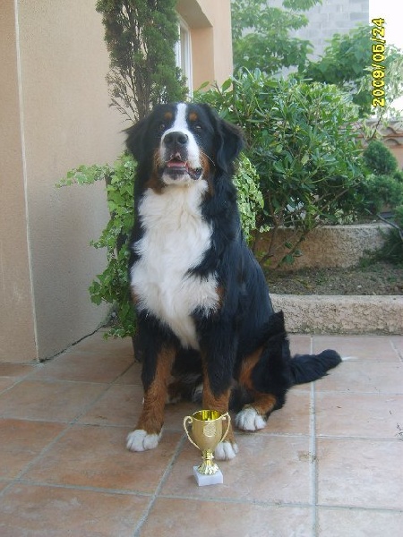 Darko du clos de la Cigalière - 2e TRES PROMETTEUR