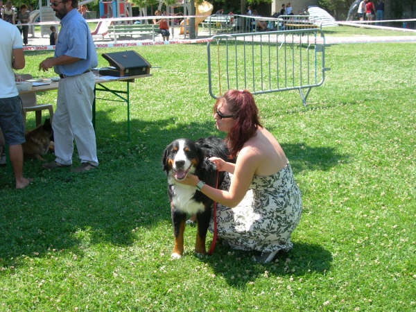 Darko du clos de la Cigalière - TRES PROMETTEUR