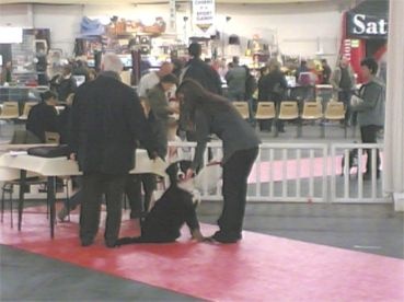 Aurus Des Eaux Vives de Tourtour - Assez Prometteur