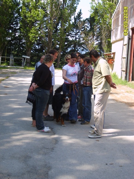 Aurus Des Eaux Vives de Tourtour - TEST de CARACTERE - MENTION EXCELLENT