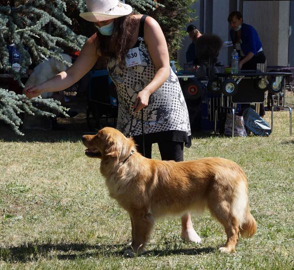 Roukynn Des Terres Sacrées D'aurus - 2e EXCELLENT