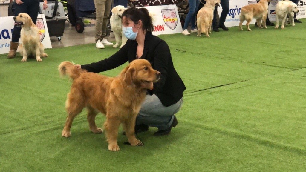 Roukynn Des Terres Sacrées D'aurus - TRÈS BON