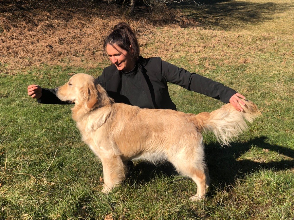 Seleste Des Terres Sacrées D'aurus - EXCELLENT