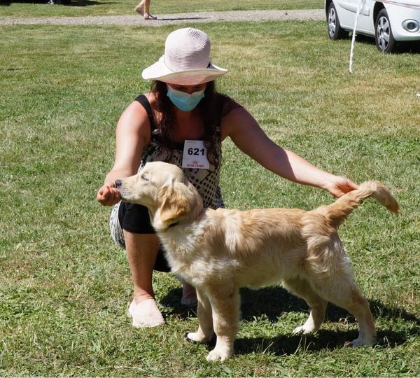 Seleste Des Terres Sacrées D'aurus - TRES PROMETTEUR