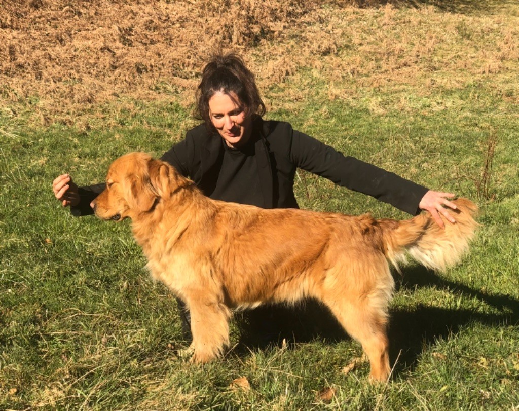 Roukynn Des Terres Sacrées D'aurus - EXCELLENT