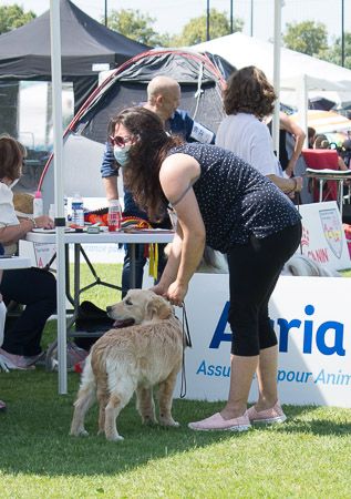 Seleste Des Terres Sacrées D'aurus - TRES PROMETTEUR - MEILLEUR BABY