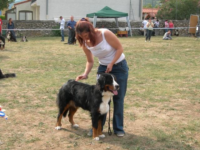 Darko du clos de la Cigalière - Très Bon - Classe Jeune