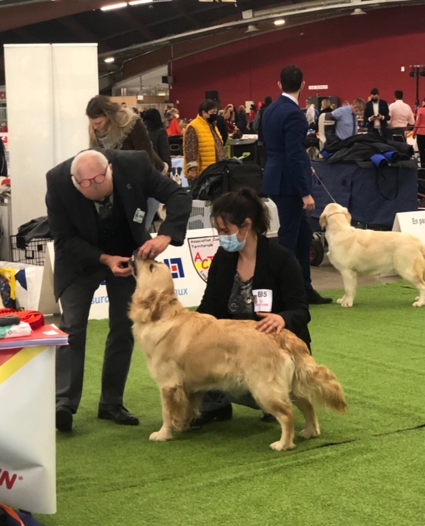 Seleste Des Terres Sacrées D'aurus - EXCELLENT