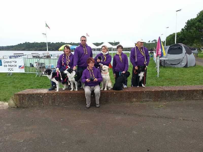Happy Du Trésor Du Berger De Fontenay - Champion de France de Flyball