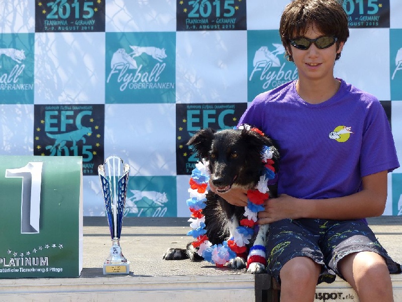 Happy Du Trésor Du Berger De Fontenay - Champion d'Europe de Flyball en division 9