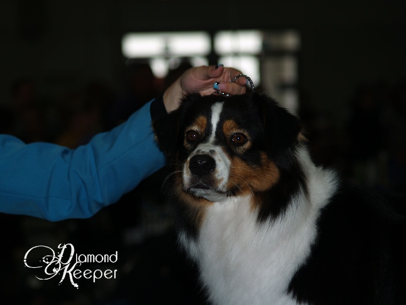 Forever lovely (Sans Affixe) - 3EME EXC classe OUVERTE