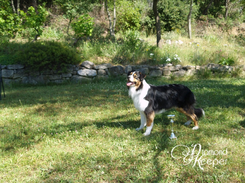 Forever lovely (Sans Affixe) - 3EME EXC classe OUVERTE