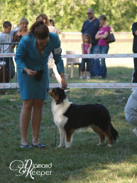 Forever lovely (Sans Affixe) - EXCELLENT classe OUVERTE