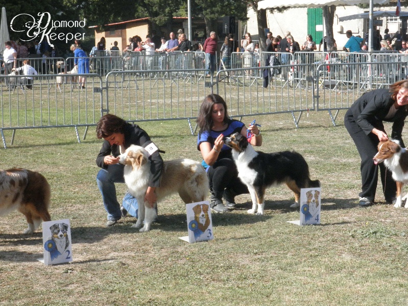 Forever lovely (Sans Affixe) - 4EME EXC classe INTERMEDIAIRE