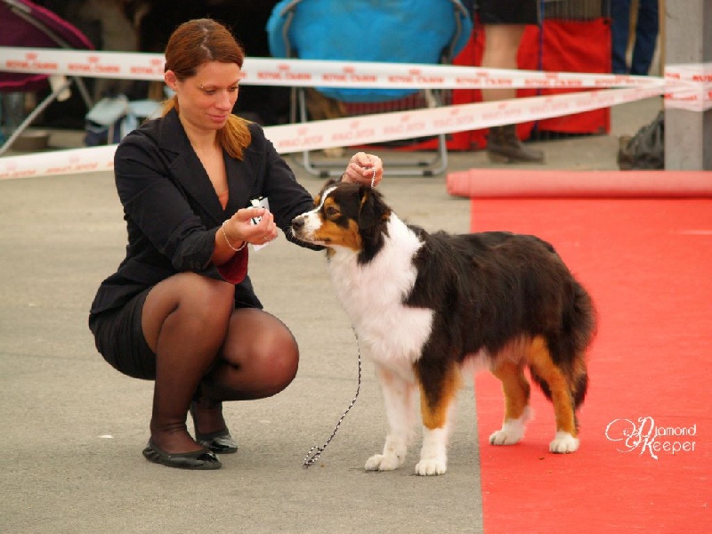 Forever lovely (Sans Affixe) - 3EME EXCELLENT classe OUVERTE