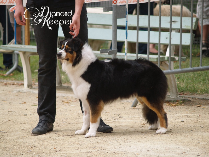 Forever lovely (Sans Affixe) - 4EME EXC classe OUVERTE