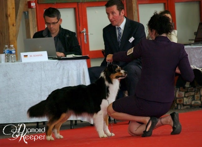 Forever lovely (Sans Affixe) - EXCELLENT classe OUVERTE